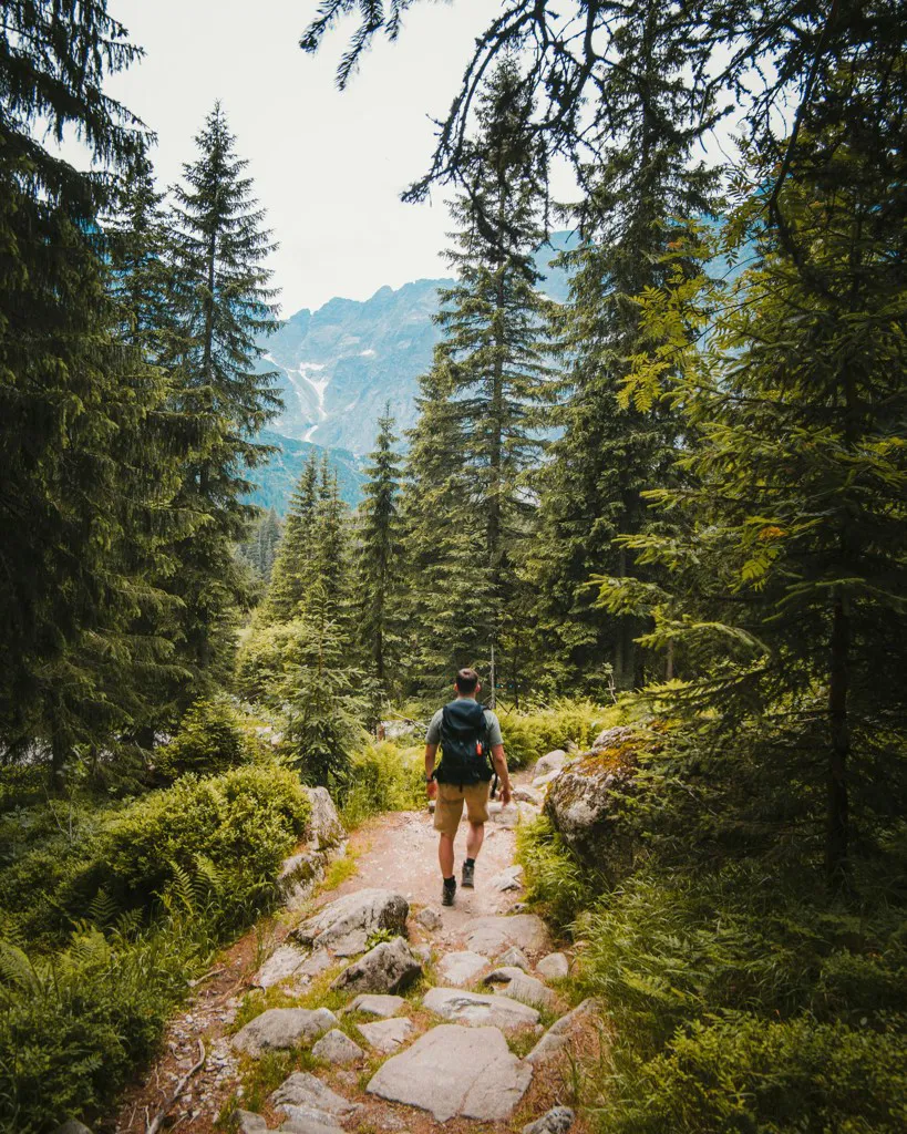 TrailForge Softshell Stirnlampe
